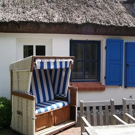 Michels Rosenberg In * Zingst